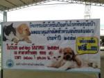กิจกรรมฉีดวัคซีนป้องกันโรคพิษสุนัขบ้า และยาคุมกำเนิดสำหรับสุ