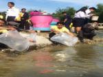 กิจกรรมปล่อยพันธุ์ปลาและกุ้ง เนื่องในโอกาสเฉลิมพระชนมพรรษาพร